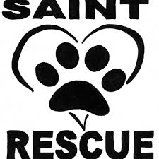 Maybe you would like to learn more about one of these? All Pets Veterinary Clinic Home Facebook