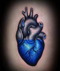 Blue heart tattoo designs having a blue heart tattoo can mean a couple of different things. Awesome Collection Of Only The Best Tattoos From All Over The World Human Heart Tattoo Heart Tattoo Cool Tattoos