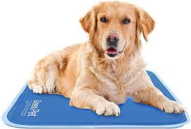 Buy self cooling pet pad Hotsell
