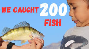 200 + white bass, 1 Perch