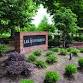 Lee University