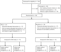 Consort Flow Chart Eeg Electroencephalogram Rsi Rapid