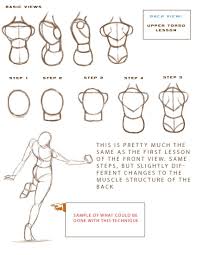 Anatomy Study Guide P2 Anatomy Study Anatomy Drawing Anatomy