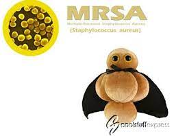 Pin On Microbes