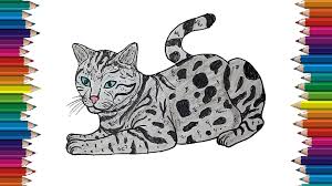 How To Draw A Bengal Cat Step By Step Cat Drawing Easy For Beginners With This How To Video And Step By Step Drawing Instruct Cat Steps Cat Drawing Bengal Cat