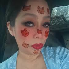 Vet recommendation with payment plan for injured cat