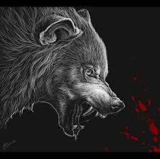 Loup Dessin Profil Recherche Google Wolf Arte Osos