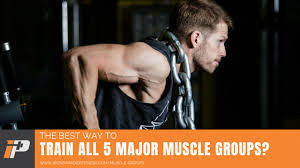 train all 5 major muscle groups