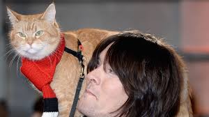 In 2012 hodder & stoughton published james' first book, a street cat named bob, tellin. A Street Cat Named Bob Moggie Who Inspired Bestselling Book And Film Dies Ents Arts News Sky News