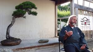 Bonsai in hamburg ebay kleinanzeigen. News Bonsaikunsthamburg De