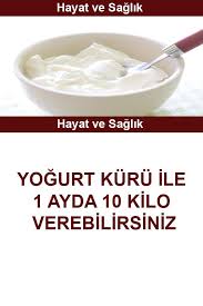 Hizli Kilo Verdiren Yogurt Kuru In 2020 Healthy Diet Food