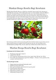 Bunga rosella memiliki kandungan vitamin c yang sangat bermanfaat untuk meningkatkan kekebalan tubuh. Doc Manfaat Bunga Rosella Bagi Kesehatan Daffa Hanny Academia Edu