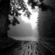 Shooting film at Larch Mountain. I'm still getting familiar with my new…