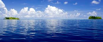 Blue Wikipedia