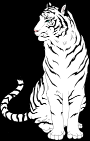 Download transparent tiger clipart png for free on pngkey.com. Download White Tiger Clipart Easy Tiger Free Line Art Png Image With No Background Pngkey Com