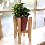 9001. Introduction to Woodworking