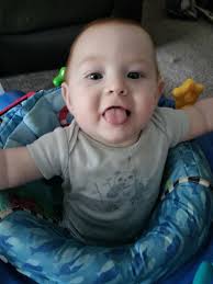 Allison Leann Seagle