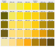 Color Chart Custom Pins