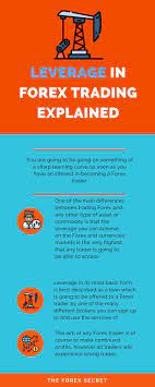 Forex Infography Forex Forex Trading Forex Signals