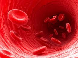 Check spelling or type a new query. Fungsi Darah Merah Putih Plasma Dan Keping Darah Honestdocs