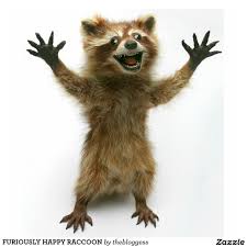 Furiously Happy Raccoon Cutout Zazzle Com Furiously Happy Photo Sculpture Photo Cutout