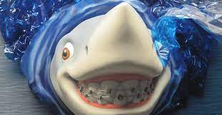 And with his help find out how many rows of teeth does a shark have. Fun Facts About Shark Teeth Adelberg Pediatric Dental