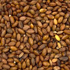 Image result for Synsepalum