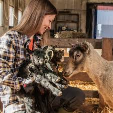 Contact form fcr finland oy. Progres In Goat Kids Improved Weight Gain And Fcr Hankkija