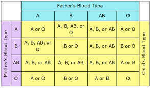 See full list on wikihow.com What Blood Type Will A Child Have If Both Parents Are O Positive Quora