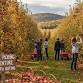 Youth Outing: Apple Picking event image