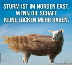 Whatsapp lustige weihnachtsbilder für handy. Kostenlos