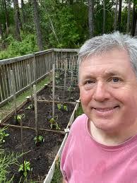 How long do tomatoes and cucumbers take to grow?