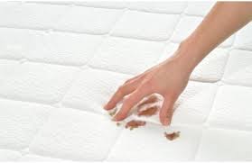 Comment Bien Nettoyer Son Matelas Tout Pratique En 2020 Nettoyer Matelas Nettoyant Comment Nettoyer Un Matelas