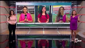 Like the athletes on the field, sports commentators work as a team. Icdb Tv Commentator Listing For Ana Caty Hernndez