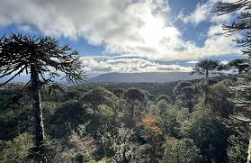 Képtalálat a következőre: „angol”