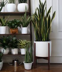 Best plant pots for indoor plants. 35 Best Inspiring Indoor Plants Garden Ideas To Makes Your Home More Fresh Goodsgn Plant Decor Indoor House Plant Pots Indoor Plant Pots