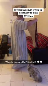 Funny Cat Interrupts Dad's Prayer Moment