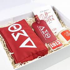 Delta Diva Ultimate Gift Box Delta Sigma Theta Sorority Etsy In 2021 Delta Sigma Theta Gifts Delta Sigma Theta Sorority Delta Sigma Theta