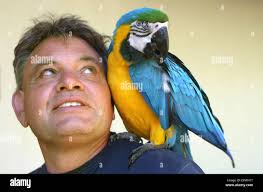 Henderson point hi-res stock photography and images