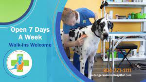 Pet Angels Animal Hospital Coupons In Jacksonville Veterinarians Animal Hospitals Localsaver