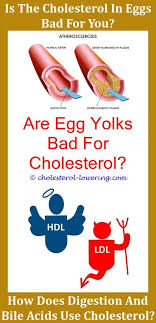 Signsofhighcholesterol What S The Difference Between Cholesterol And Triglycerides How To Check Yo What Causes High Cholesterol Cholesterol Levels Cholesterol
