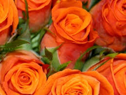 Related image