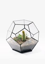 Geodesic Score Solder Geometric Terrarium Glass Terrarium Succulent Terrarium