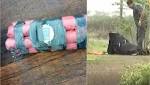 Gujarat: Gujarat: Live bomb with