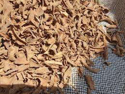 Image result for Voacanga