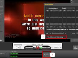 Best Multiplex Dual Audio Karaoke Player Kanto Karaoke