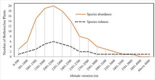 Image result for Bothriocline