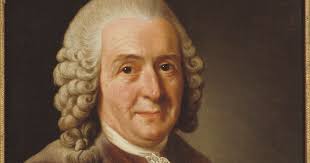 Forget What Did: Scholasticus Hardassus