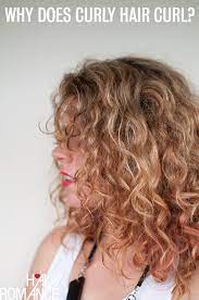 The handbook —is quite literally a guide to getting really excellent hair using. Curls Week Why Does Curly Hair Curl Hair Romance