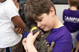 Profile for Brandywine Valley SPCA